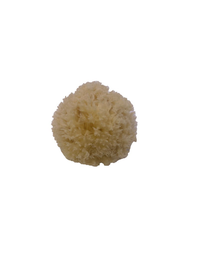 Φυσικό Σφουγγάρι Καλύμνου Honeycomb για το Πρόσωπο