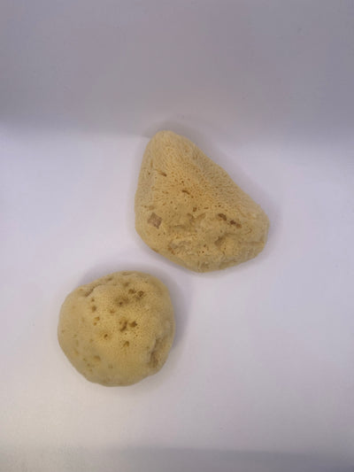 Fine Kalymnos Natural Sponge for Babies